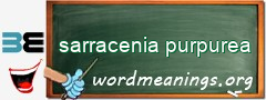 WordMeaning blackboard for sarracenia purpurea